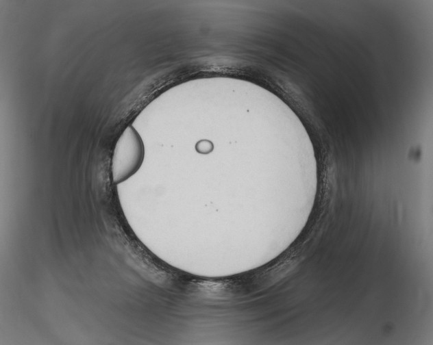 X0000116510265201001061229