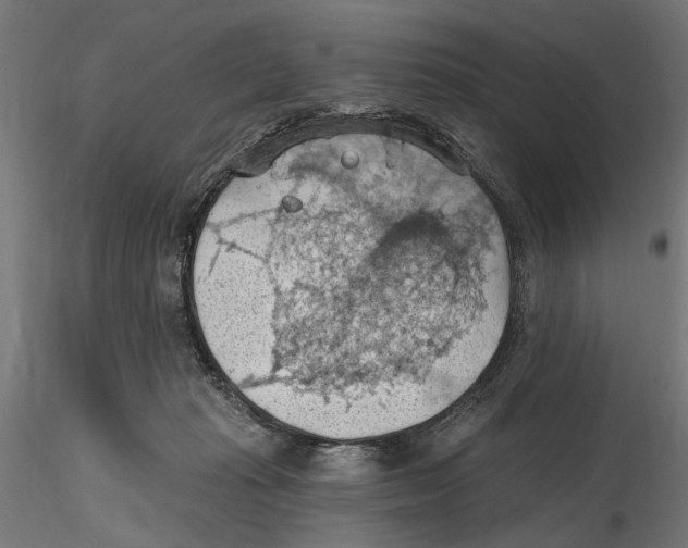 X0000116510269201001061229