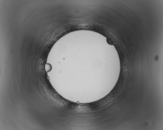 X0000116510270201001061229