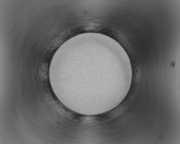 X0000116510273201001061229