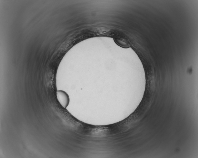 X0000116510274201001061229