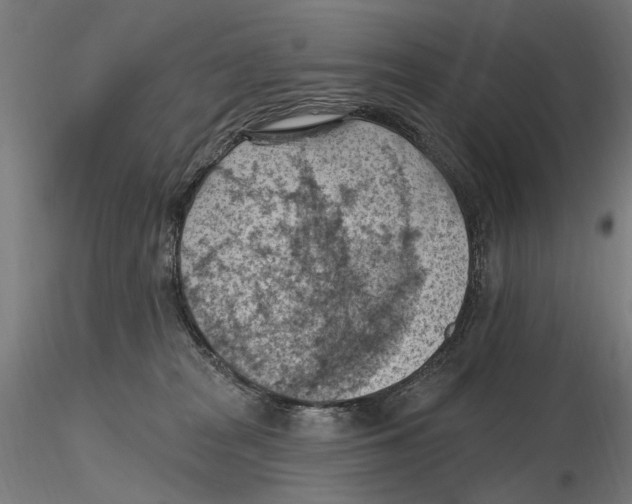 X0000116510277201001061229