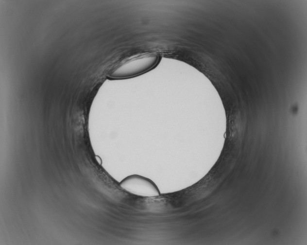X0000116510279201001061229