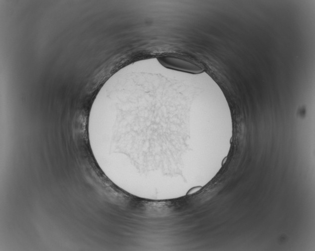 X0000116510281201001061229