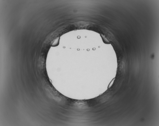 X0000116510283201001061229