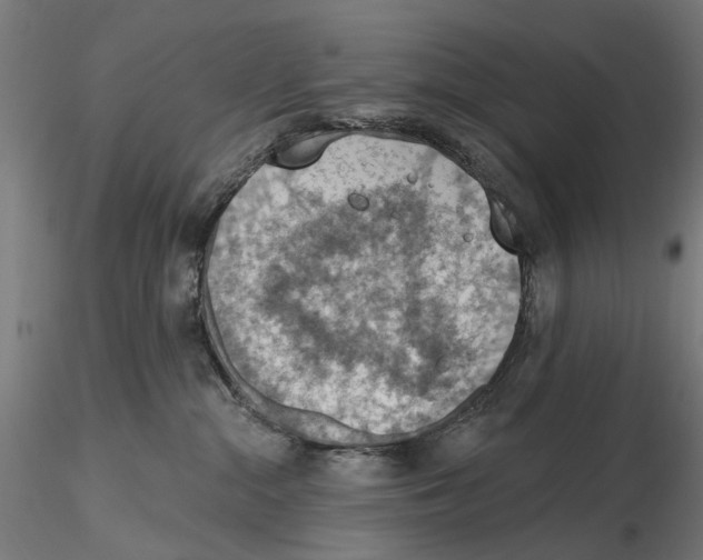 X0000116510284201001061229