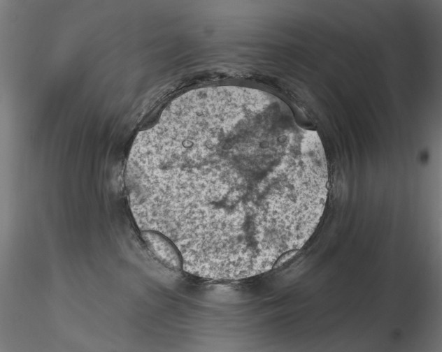 X0000116510285201001061229