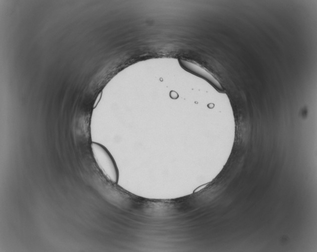 X0000116510286201001061229