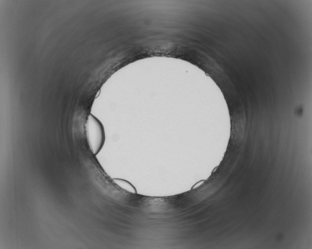 X0000116510287201001061229