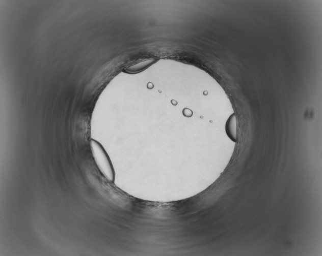 X0000116510288201001061229