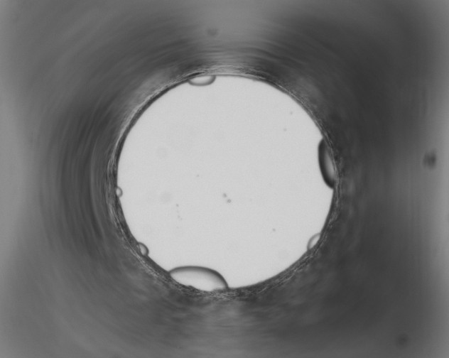 X0000116510289201001061229