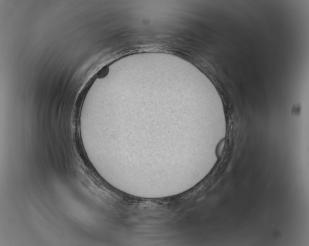 X0000116510290201001061229