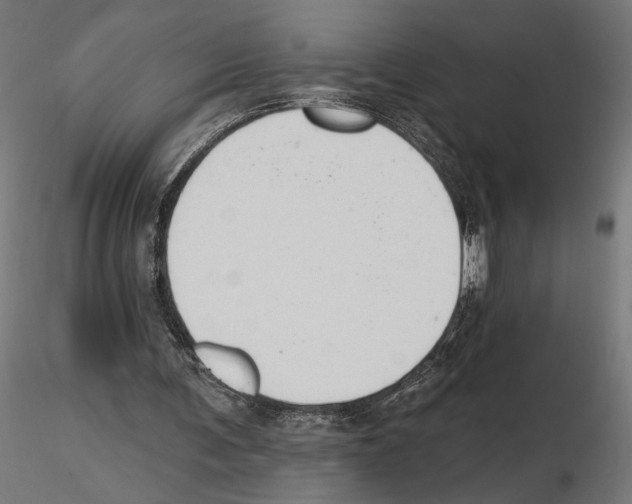 X0000116510291201001061229