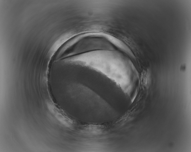 X0000116510292201001061229