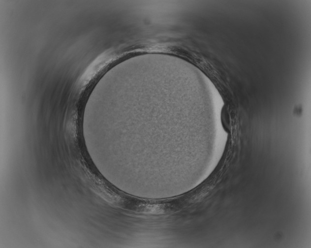 X0000116510295201001061229