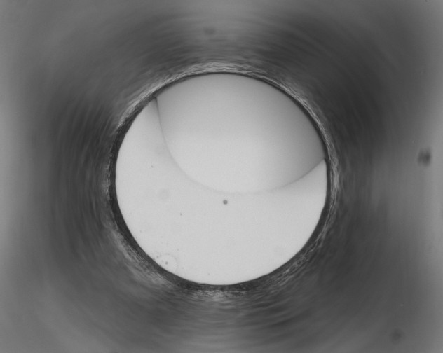X0000116510297201001061229
