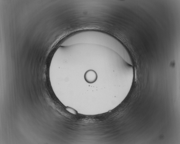 X0000116510300201001061229