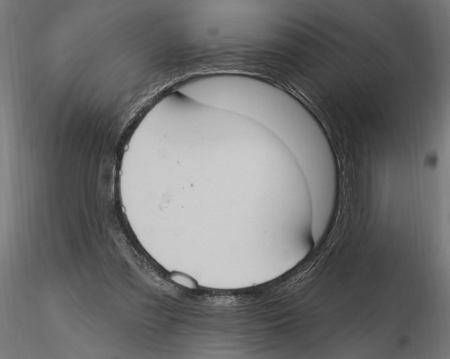 X0000116510301201001061229