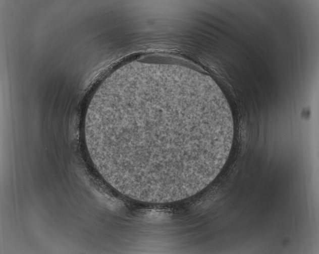 X0000116510303201001061229