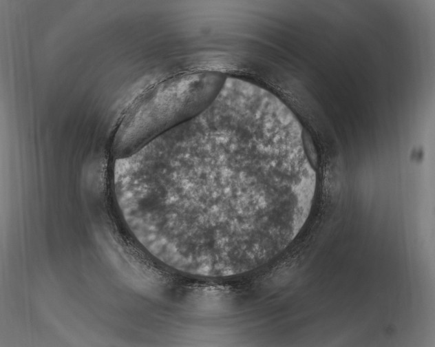 X0000116510304201001061228