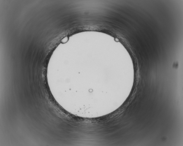 X0000116510305201001061228
