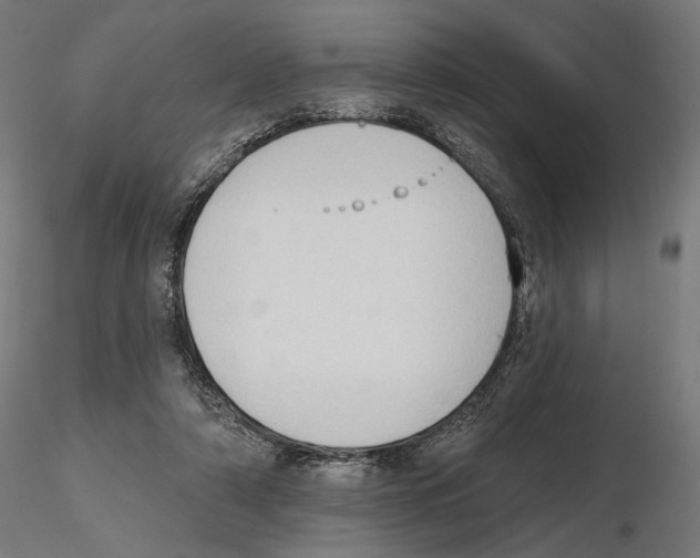 X0000116510306201001061228