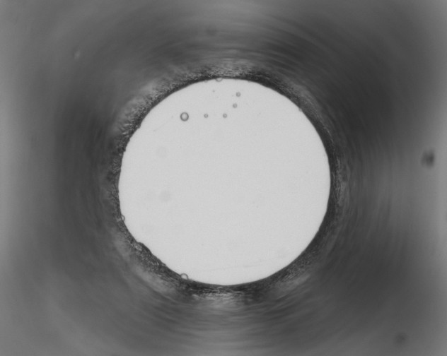 X0000116510307201001061228