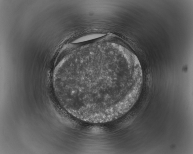 X0000116510308201001061228