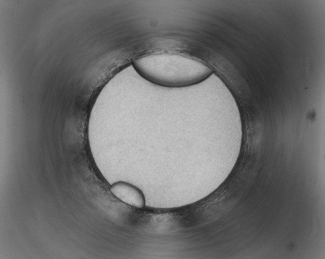 X0000116510309201001061228
