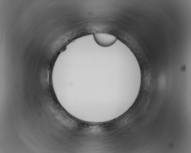 X0000116510310201001061228
