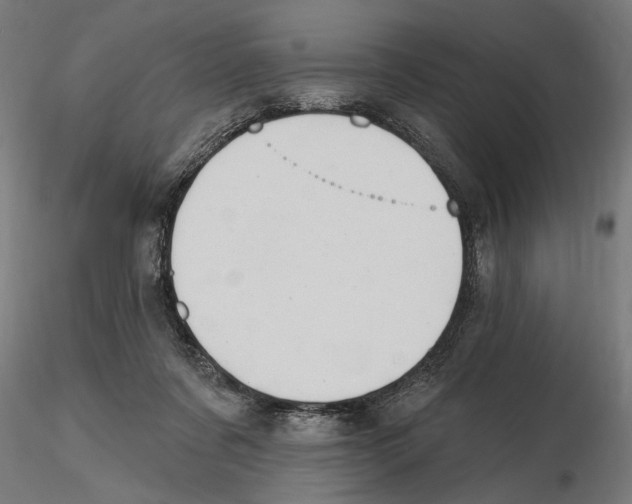 X0000116510311201001061228