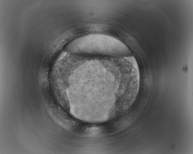 X0000116510312201001061228