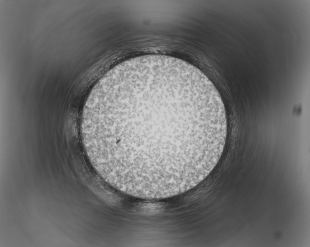 X0000116510313201001061228