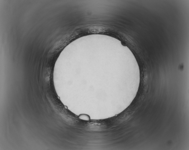 X0000116510315201001061228