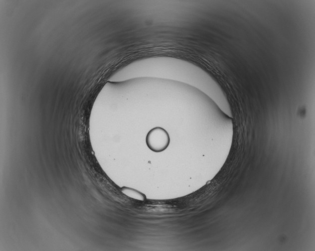 X0000116510316201001061228