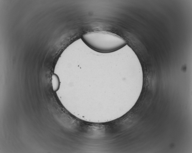 X0000116510317201001061228