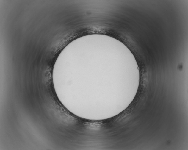 X0000116510318201001061228