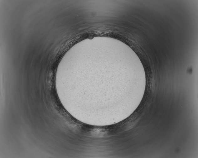 X0000116510319201001061228