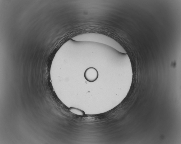 X0000116510320201001061228