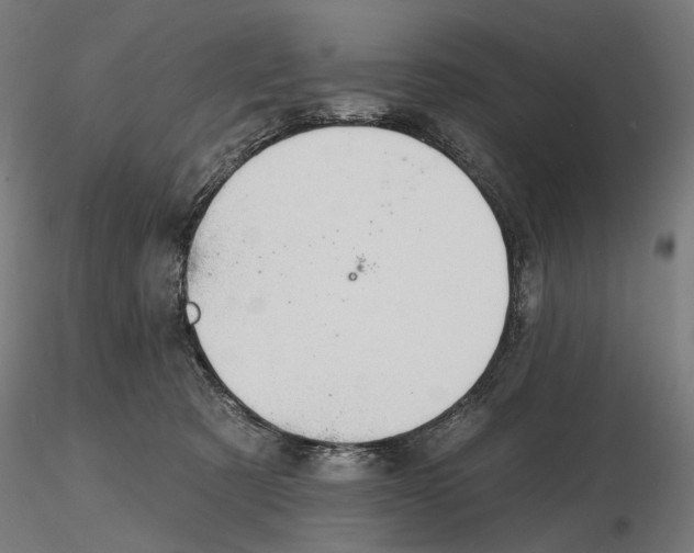 X0000116510321201001061228