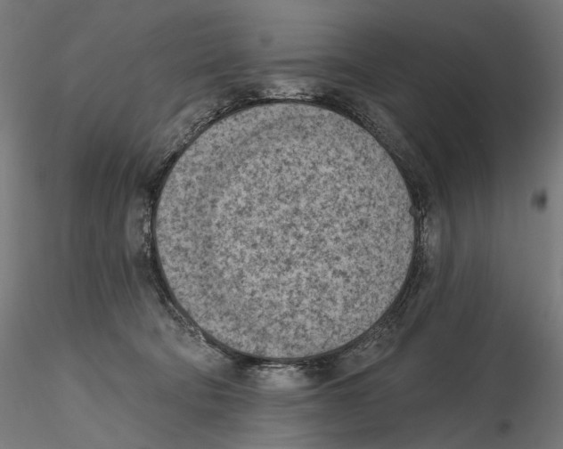 X0000116510322201001061228