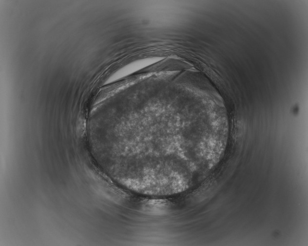 X0000116510324201001061228