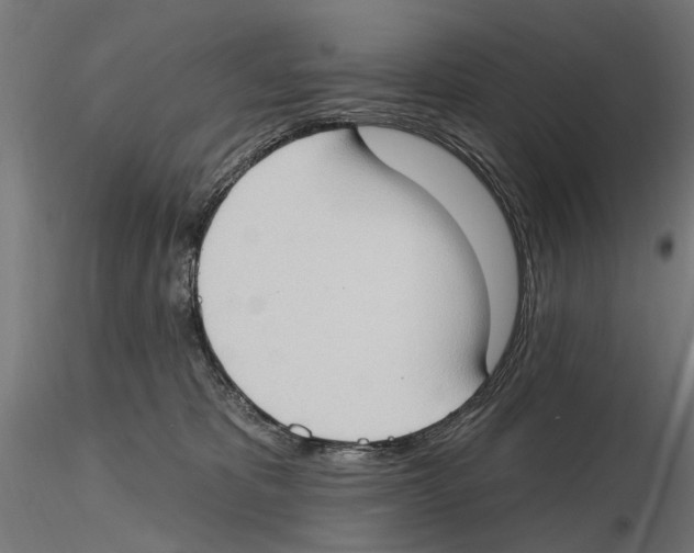 X0000116510325201001061228