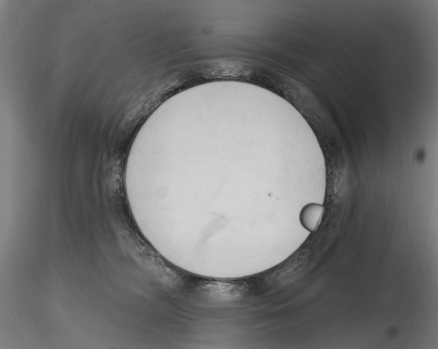 X0000116510326201001061228