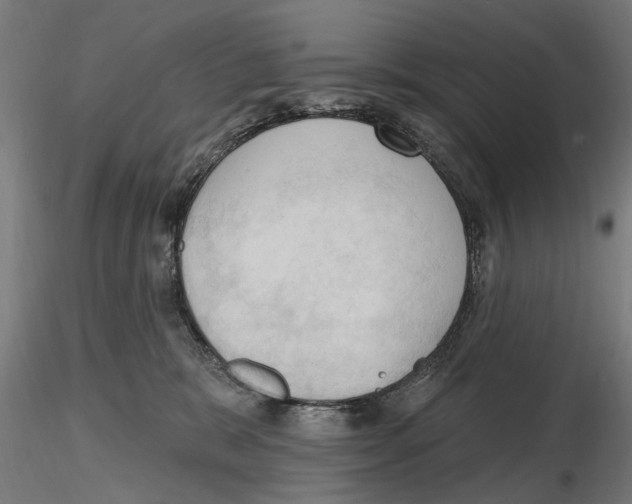 X0000116510327201001061228