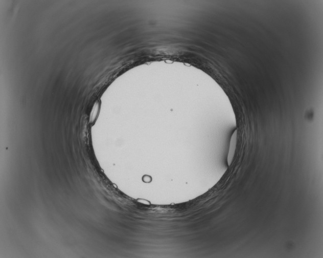 X0000116510328201001061228