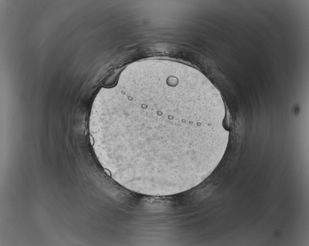X0000116510331201001061228