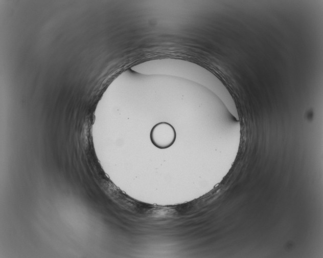 X0000116510333201001061228