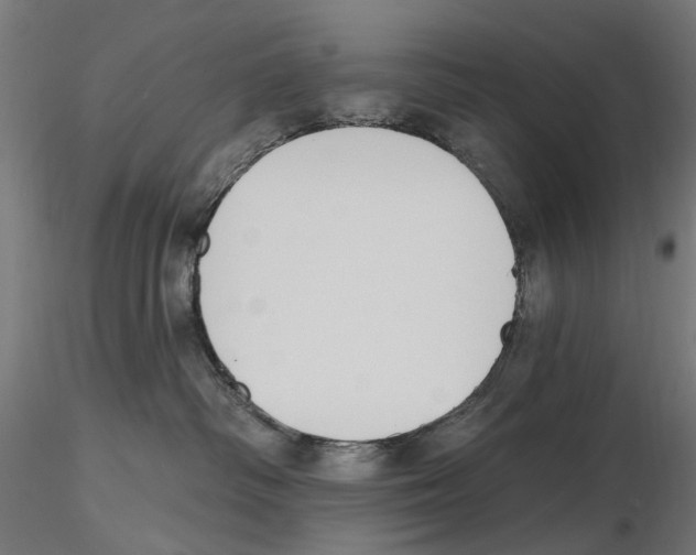 X0000116510334201001061228