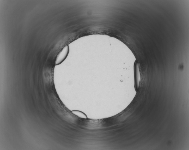 X0000116510335201001061228